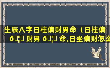 生辰八字日柱偏财男命（日柱偏 🦟 财男 🦄 命,日坐偏财怎么样）